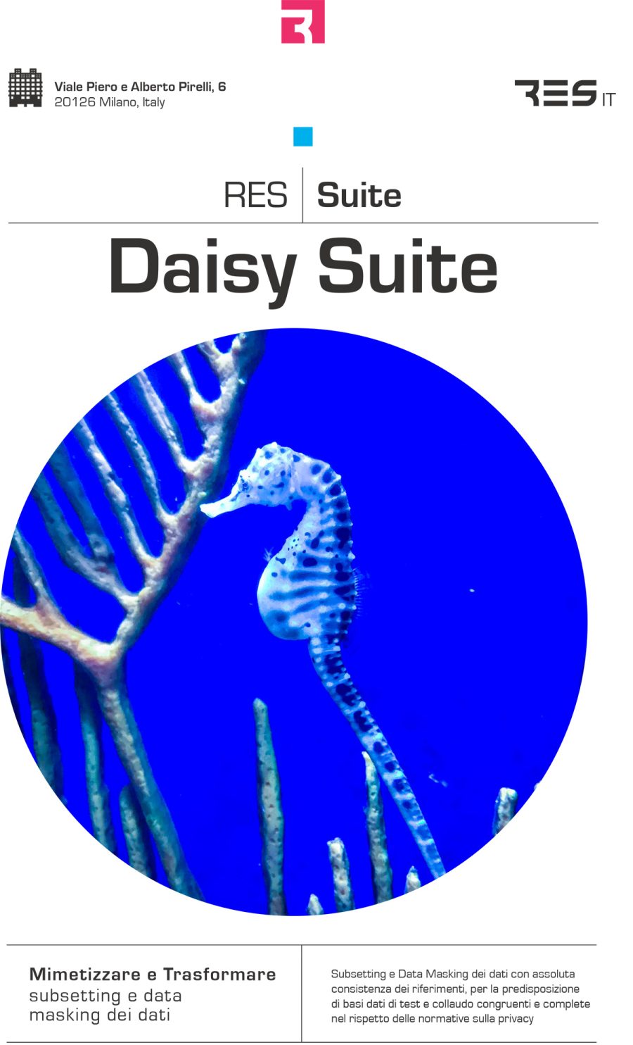 Daisy Suite